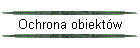 Ochrona obiekt�w