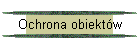 Ochrona obiekt�w